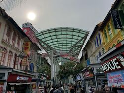 Trengganu Street (D1), Shop House #546929821